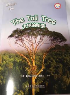 The tall tree