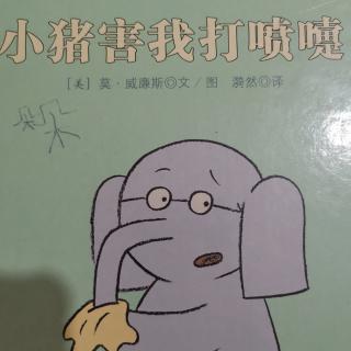 小猪害我打喷嚏