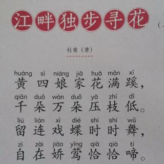 夏《江畔独步寻花》