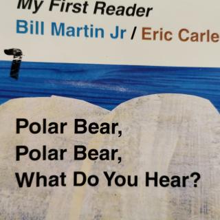 Polar bear what do you hear