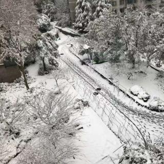 紫轩堂晨读第1330期
在深山里我听见落雪的声音