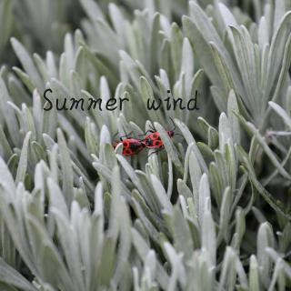 张酷|竹君|戴玲燕：Summer Wind