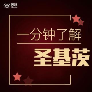 2、为什么说圣基茨是护照届的开山鼻祖？