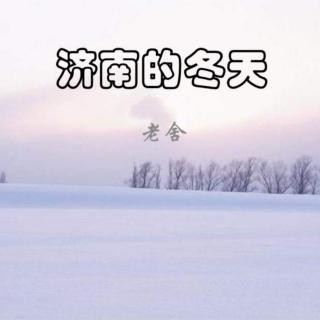 老舍《济南看雪》