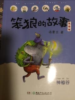 《笨狼的故事》