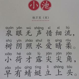 夏《小池》