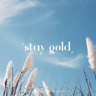 Stay Gold (Piano Cover)