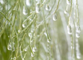 冬天的雨（金子美铃