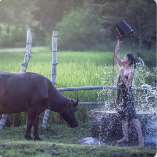 忘不了女生版