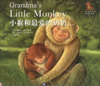 Grandma's Little Monkey