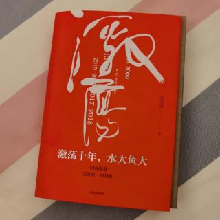 《激荡十年，水大鱼大》吴晓波“2008不确定的开始1”