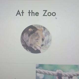 At the Zoo