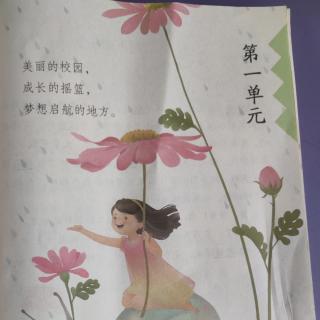 大青树下的小学，花的学校