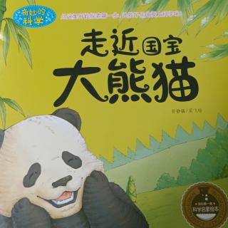 走进国宝大熊猫