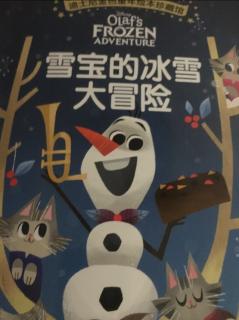 雪宝的冰雪大冒险，冰雪奇缘。