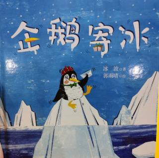 企鹅寄冰