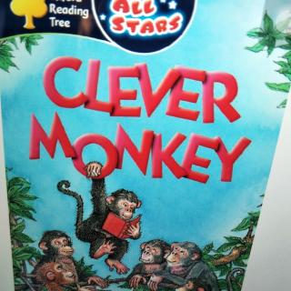 Clever Monkey--Part two