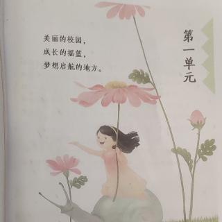 大青树下的小学