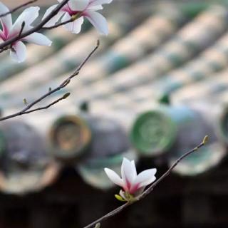 『胡说语文』听听那冷雨