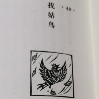 中国老故事31找姑鸟