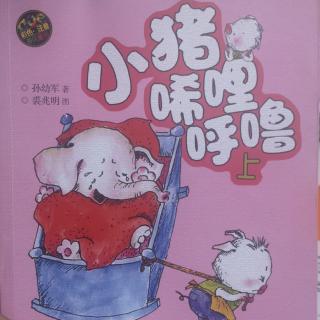 ③猫🐱先生怎样替猪🐷太太抓耗子