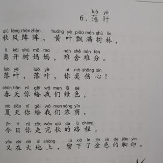 贺晴蕾《落叶》