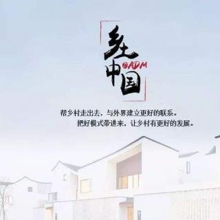 第11章长老统治