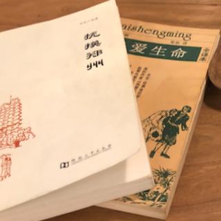 干法  中文版序