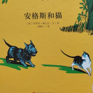 《安格斯和猫》🐶🐱🏡