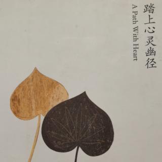 《踏》第6章 稻草变黄金 之 冥想：深思困境