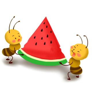 《蚂蚁🐜和西瓜🍉》