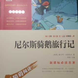 《尼尔斯骑鹅旅行记》第二章~大雪山来的大雁阿卡