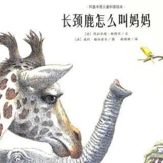 153-小菠萝的晚安情书-长颈鹿🦒怎么叫妈妈