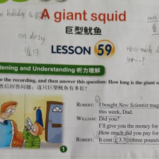 《A giant squid》