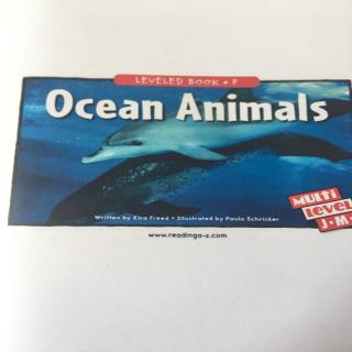 20200721 Ocean animals