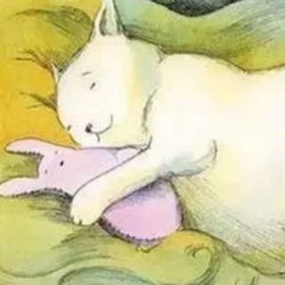 小兔子🐰吉布寻找睡眠😴