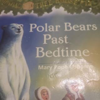 Polar bears Past  Bedtime
