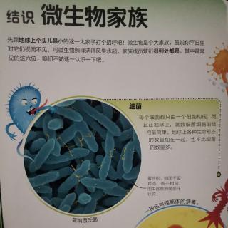 新型冠状病毒肆虐，来认识和它类似的微生物家族