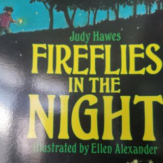Fireflies in the nlght