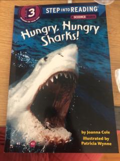 hungry,hungry sharks 1