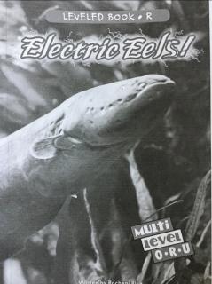 沛霖英文｜2020.07.22，Electric Eels