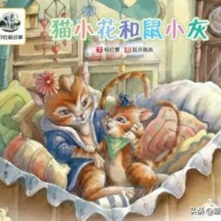 《猫小花和鼠小灰》