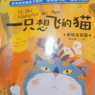 一只想飞的猫(1)