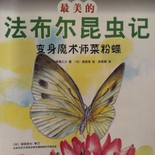 《變身魔術(shù)師菜粉蝶》每天讀書半小時D17