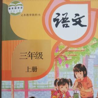 语文三年级上册《卖火柴的小女孩》