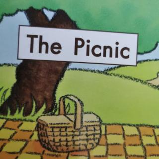 the picnic