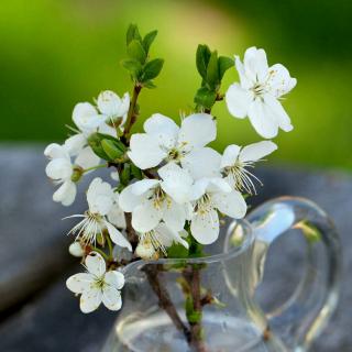 诸神黄昏（节选）