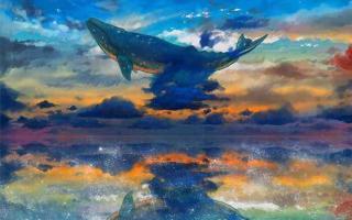 鲸落——规渡