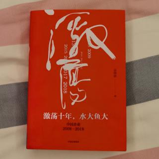 《激荡十年，水大鱼大》吴晓波“2008不确定的开始3”