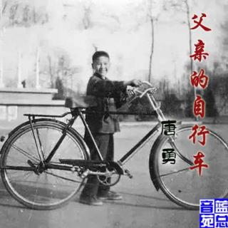唐勇散文《父亲的自行车》蓝总播读